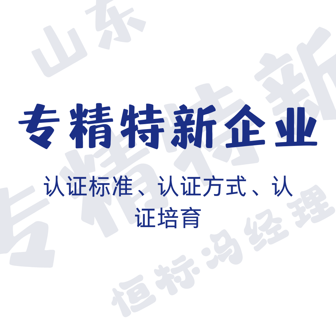 专精特新认定  分类  认定流程